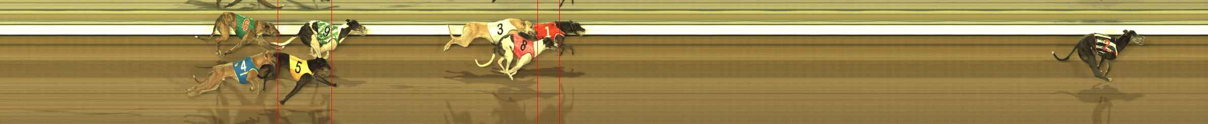 Race result finish photo